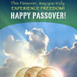 Experience Freedom